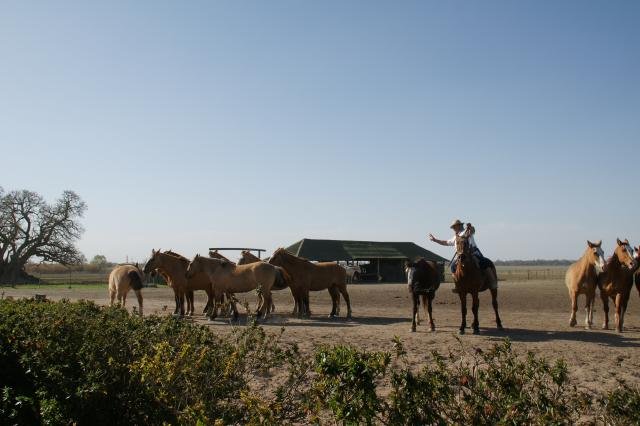 Urlaub in Südamerika 2011